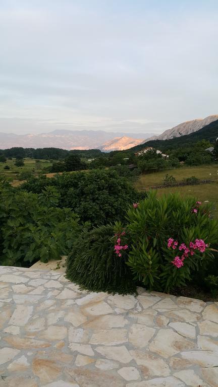 Villa Maja บัชกา ภายนอก รูปภาพ